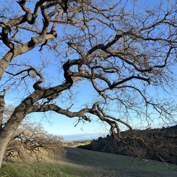 Rancho San Antonio Preserve - Parks Near Me - Los Altos, California Rancho San Antonio Preserve - Parks Near Me - Los Altos, California