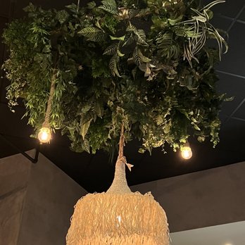 La Victoria - Interesting chandelier - very tropical - Mexican Near Me - Cary, North Carolina La Victoria - Interesting chandelier - very tropical - Mexican Near Me - Cary, North Carolina