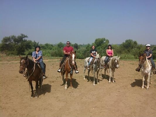 S&D Horseback Riding by null