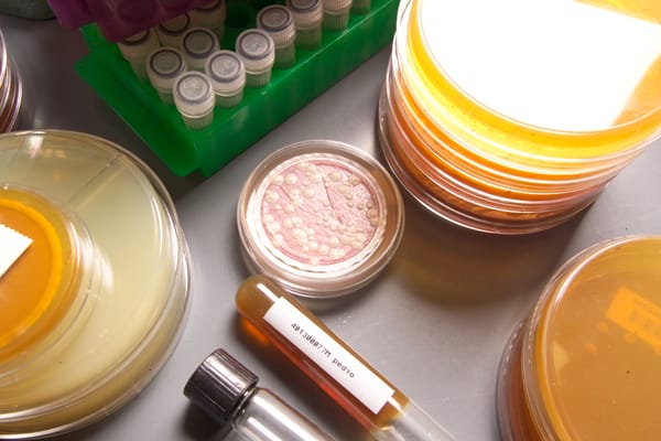 ETS Laboratories by null