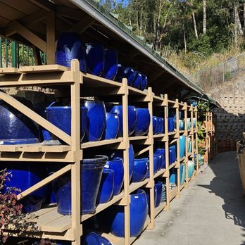 Armstrong Garden Centers - Nurseries & Gardening Near Me - Del Mar, California