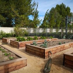 St Matthew's Montessori School - Garden