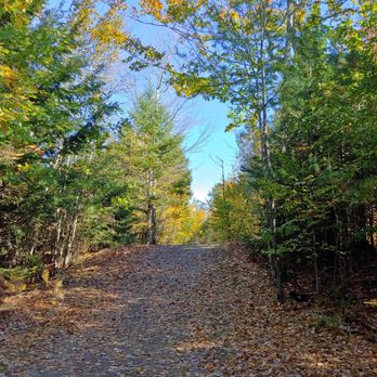 Cathance River Nature Reserve Trails - Hiking Near Me - Topsham, Maine