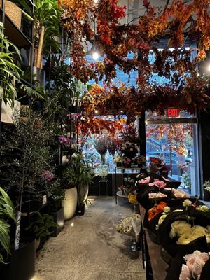 Ariston Coffee Bar by null