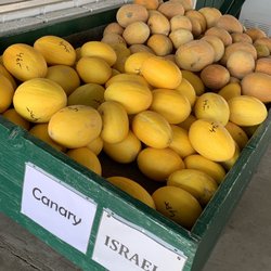 Vetere Melons - Canary melons, and Israel melons