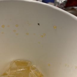 Fruit Fly in my Peach Fanta. From Wendy's of course. Fruit Fly in my Peach Fanta. From Wendy's of course.