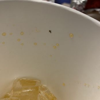Wendy's - Fruit Fly in my Peach Fanta. From Wendy's of course. - Burgers Near Me - Lakewood, Washington