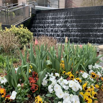 Durham Marriott City Center - Walkable to so many downtown staples. Perfect Durham location! - Hotels Near Me - Durham, North Carolina