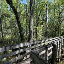 Six Mile Cypress Slough Preserve