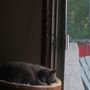 Photo of Hawk Creek Animal Shelter