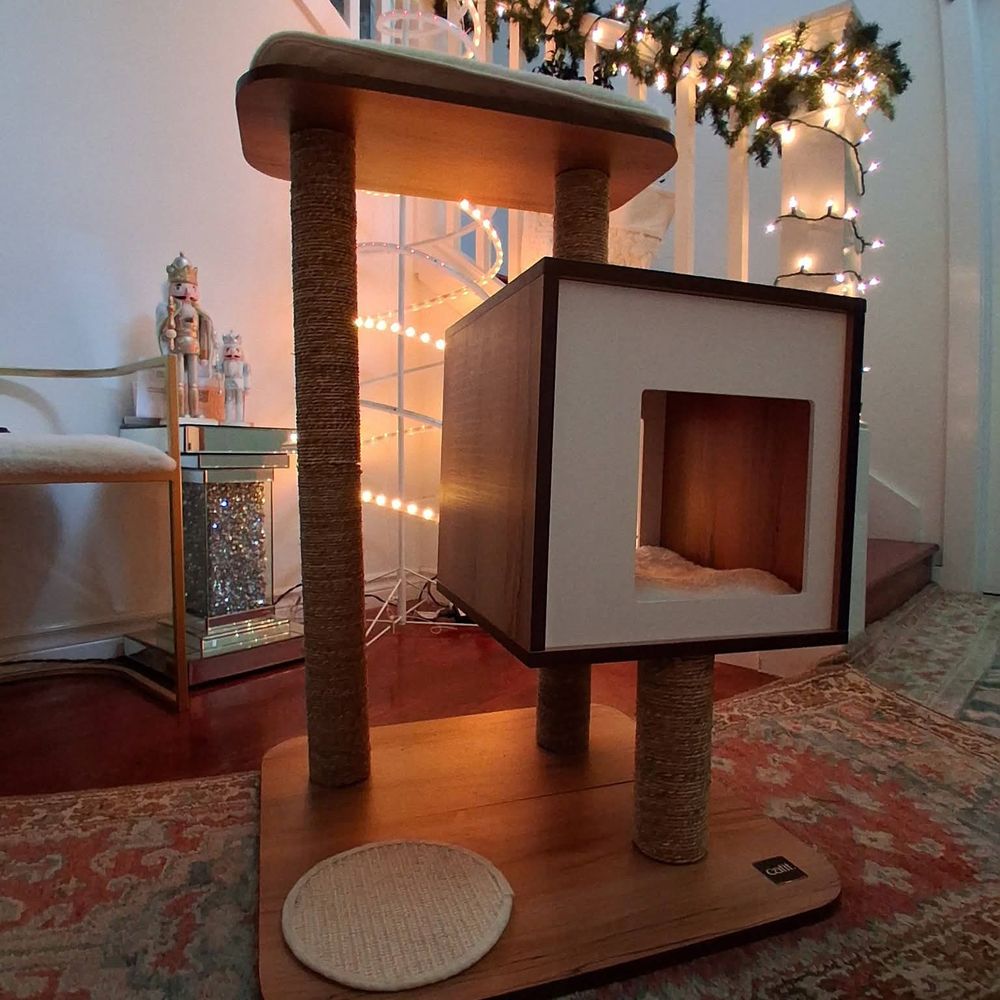 PAWS Cat City - Donating New Cat Trees - PAWS Loves New Cat Items! - Pet Stores Near Me - Seattle, Washington PAWS Cat City - Donating New Cat Trees - PAWS Loves New Cat Items! - Pet Stores Near Me - Seattle, Washington