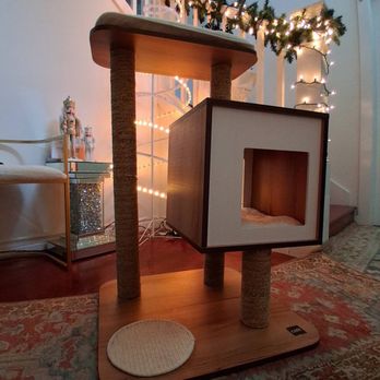 PAWS Cat City - Donating New Cat Trees - PAWS Loves New Cat Items! - Pet Stores Near Me - Seattle, Washington PAWS Cat City - Donating New Cat Trees - PAWS Loves New Cat Items! - Pet Stores Near Me - Seattle, Washington
