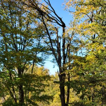 Paradise Landscaping & Tree Removal - Landscaping Near Me - Hamden, Connecticut Paradise Landscaping & Tree Removal - Landscaping Near Me - Hamden, Connecticut