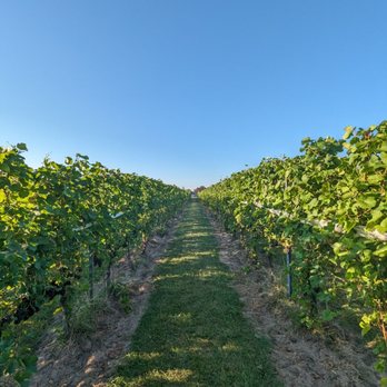 Bonobo Winery - Wineries Near Me - Traverse City, Michigan