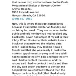 Mesa-Newport Animal Shelter - If you're reading this, don't give up hope that your pet might be here