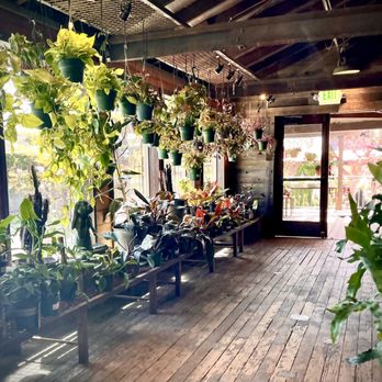 HIGH HAND NURSERY - Updated February 2026 - 709 Photos & 209 Reviews - 3750 Taylor Rd, Loomis