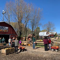 The Pumpkin Hollow - Main Shop