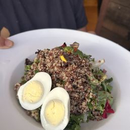 Quinoa Mixed Bowl Salad