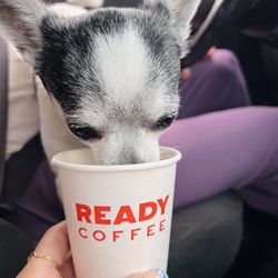 Ready Coffee - Pup cup
