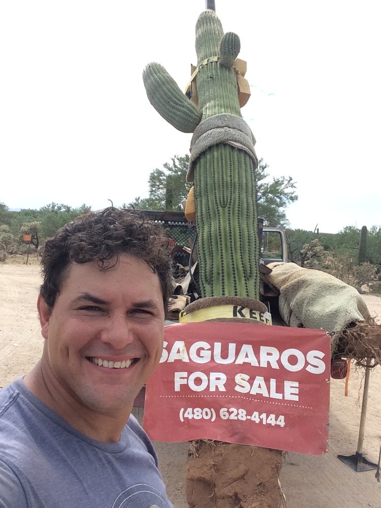 Arizona Native Plants - tree service in Tucson, AZ