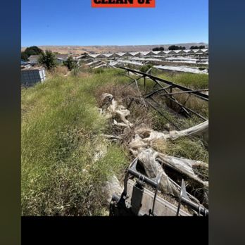 Rapid Clean-Up - Junk Removal & Hauling Near Me