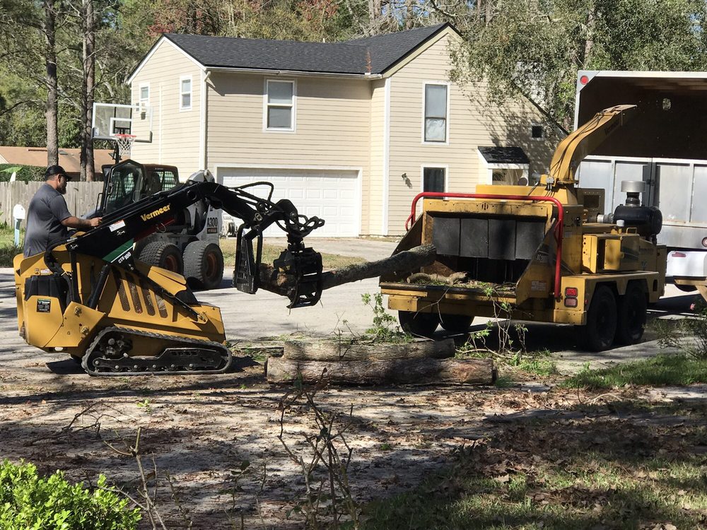 Arbor Pro - tree service in Jacksonville, FL