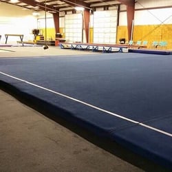 Artistic Gymnastics Institute