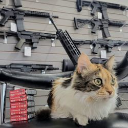 Elite Shooting Range