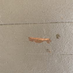 Sam's Deck Restoration - Paint peeling up because we requested stain and not cement patio paint.
