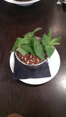 Cooks Bar And Kitchen Bars Glensburgh Rd Grangemouth Falkirk