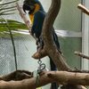 Detroit Zoological Park gift card