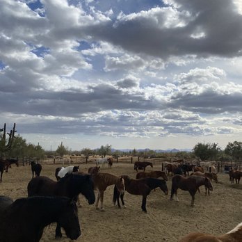 MacDonald's Ranch - Horseback Riding Near Me - Scottsdale, Arizona MacDonald's Ranch - Horseback Riding Near Me - Scottsdale, Arizona
