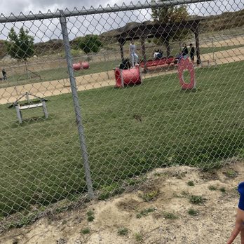Hound Town Dog Park - Kids playing on the course not watching their aggressive dog that attacked me and my dog - Dog Parks Near Me - Moreno Valley, California