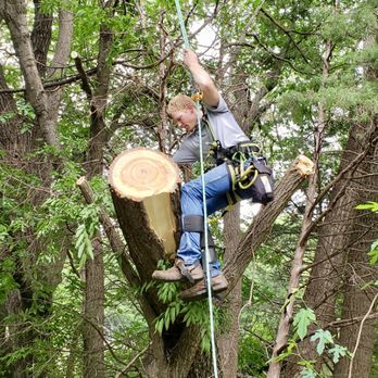 JMA Land-Clearing & Tree Service - Large cottonwood removal over a gas meter. - Tree Services Near Me - Norman, Oklahoma JMA Land-Clearing & Tree Service - Large cottonwood removal over a gas meter. - Tree Services Near Me - Norman, Oklahoma