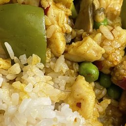 HAIR STRAND IN MY D54. Curry Chicken MEAL HAIR STRAND IN MY D54. Curry Chicken MEAL