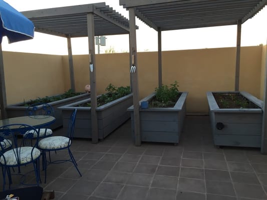 Bespoke Inn Scottsdale by null