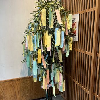 Ootoya Chelsea - Wish tree | IG & TikTok @territheplatypus.eatz - Sushi Bars Near Me - New York, New York Ootoya Chelsea - Wish tree | IG & TikTok @territheplatypus.eatz - Sushi Bars Near Me - New York, New York