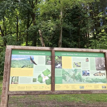 Macleay Park - Parks Near Me - Portland, Oregon Macleay Park - Parks Near Me - Portland, Oregon