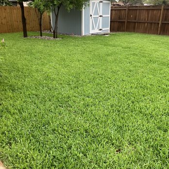 Rivera's Lawn & Landscaping - Fences & Gates Near Me - La Feria, Texas