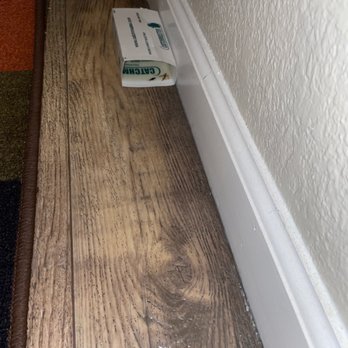 Rancho Luna Sol - GLUE TRAPS, THIS IS DISGUSTING!!! I HATE IT - Apartments Near Me - Fremont, California Rancho Luna Sol - GLUE TRAPS, THIS IS DISGUSTING!!! I HATE IT - Apartments Near Me - Fremont, California