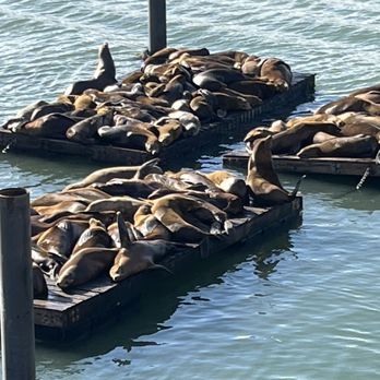 PIER 39 - Shopping Centers Near Me - San Francisco, California