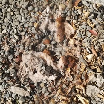 Mesa Properties - Human poop - Real Estate Services Near Me - Upland, California