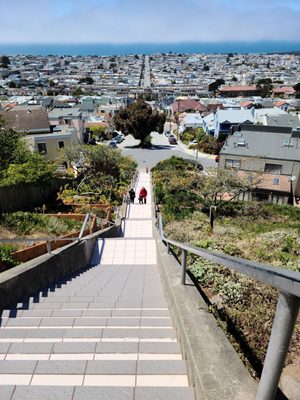 16th Avenue Tiled Steps by null