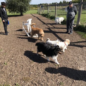 Huntington Park - Dog Parks Near Me - Markham, Ontario