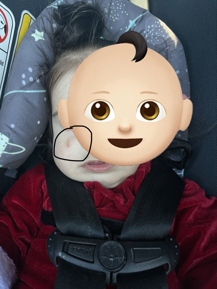 SpringStone Montessori Schools - childcare center in Albuquerque, NM