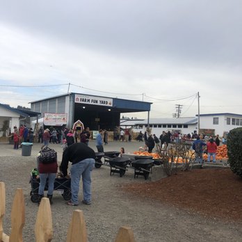Carpinito Brothers Pumpkin Patch - Inside - Farmers Market Near Me - Kent, Washington Carpinito Brothers Pumpkin Patch - Inside - Farmers Market Near Me - Kent, Washington