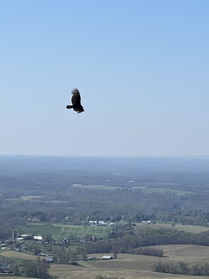 Sugarloaf Mountain by null