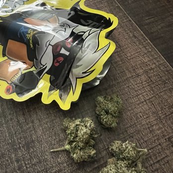 Melrose 24 Hour Budz - Looks like weed but IDK? Some other guy got it. - Cannabis Clinics Near Me - Los Angeles, California Melrose 24 Hour Budz - Looks like weed but IDK? Some other guy got it. - Cannabis Clinics Near Me - Los Angeles, California