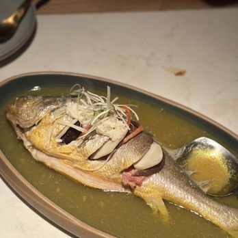 Cheli - Steamed yellow croaker - Shanghainese Near Me - New York, New York Cheli - Steamed yellow croaker - Shanghainese Near Me - New York, New York