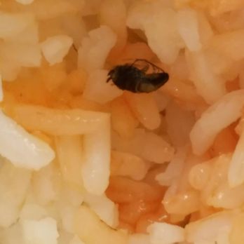 Swen Chinese Restaurant - Roach in my rice from Swen...... Don't waste your money here - Chinese Near Me - Northport, Alabama